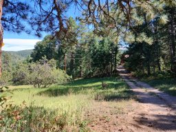 Path from St. Francis House to St. Clare House